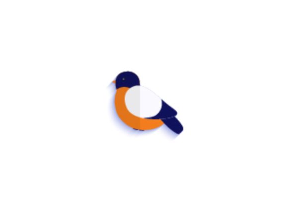 Christmas Illustration Orange Blue Bird: A Designer’s Honest Review